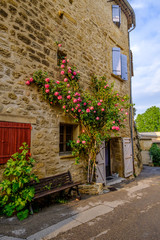 Façade d'une maison en pierre avec le rosier rose. Provence, France. 