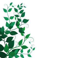 Foliage. Background with green leaves and curls , vector illustration. Fine branches