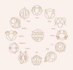Round composition with astrological signs drawn with contour lines on white background. Zodiac constellation symbols of traditional astrology organized in circle. Vector illustration in linear style.