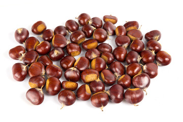 Fresh chestnuts with peeled roasted chestnut isolated on white background. Hippocastanum isolated.
