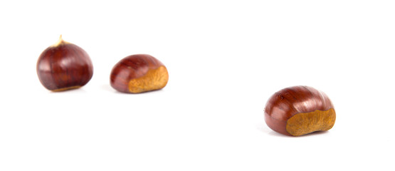 Fresh chestnuts with peeled roasted chestnut isolated on white background. Hippocastanum isolated.