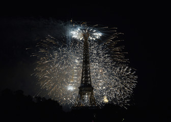 Fireworks in Paris - 230428740