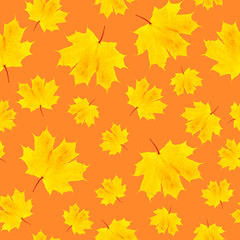 Naklejka na ściany i meble Autumn yellow maple leaf seamless pattern on orange background. halloween texture