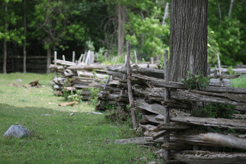 Fototapeta na wymiar wooden fence in oak forest