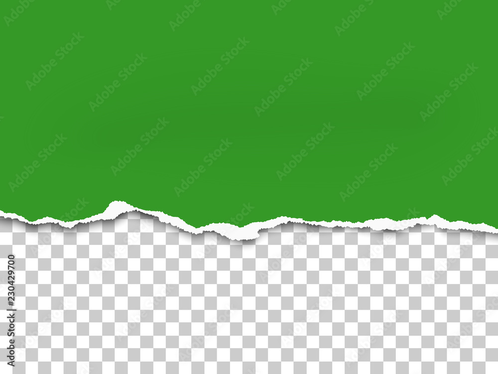 Wall mural torn a half sheet of green paper from the bottom. vector template paper design.