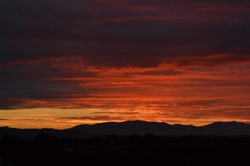 Alba