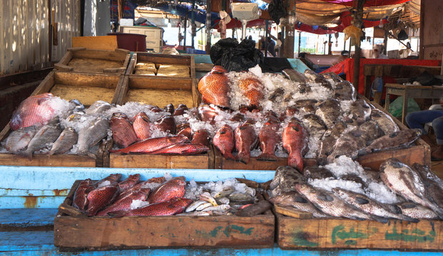 Various fish in the market near the sea, ocean. Old stalls with fresh marine life. Asia culture and traditions. Stock photos