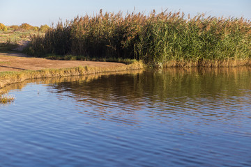 Laguna en día soleado