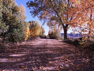 De camino al otoño