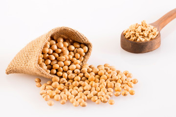 Dry soybeans - Glycine max. Top view