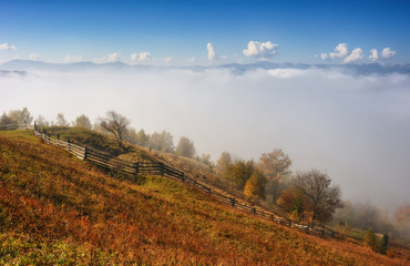 autumn sunrise in the Carpathian mountains. picturesque foggy morning