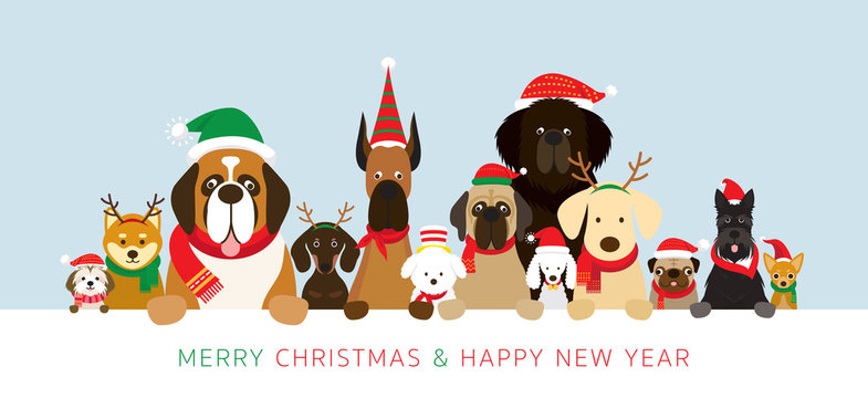 Christmas Background Pets Images – Browse 134,833 Stock Photos, Vectors, and Video | Adobe Stock Christmas Background Pets Images – Browse 134,833 Stock Photos, Vectors, and Video | Adobe Stock