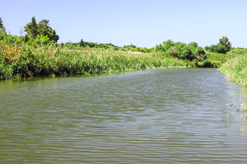 Overgrown  with greenery the banks of the river Alexander, flowing into the Mediterranean Sea in...