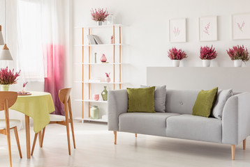 White living room interior with grey couch with cushions, rack with vases and books, fresh...