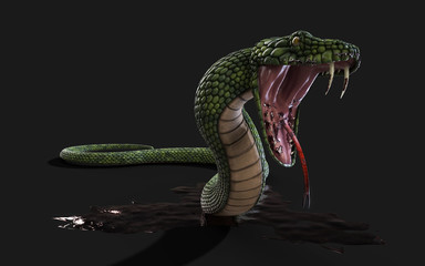 Fototapeta premium 3d Illustration Green Giant Fantasy Snake na czarnym tle ze ścieżką przycinającą