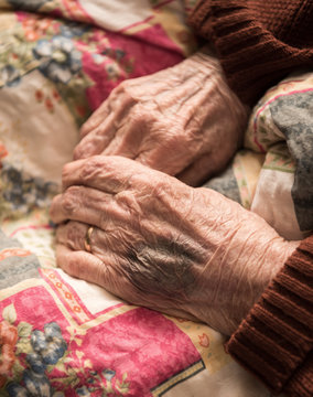 Close up of old wrinkled woman's hands