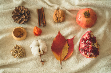 Beautiful autumn seasonal background. Autumn assortment pine cone cotton, mandarin, walnut, cinnamon, leaves, physilis pomegranate