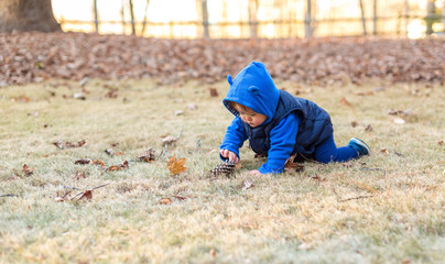 Toddler boy playing outside on an autumn day