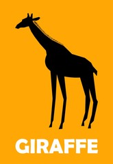     Vector illustration of giraffe, side view 