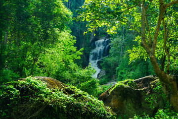 The Mae Sa waterfall. it is beautiful  on Doi Suthep at Chiang Mai in Thailand