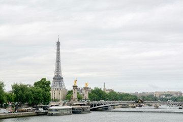 Fototapeta na wymiar view of paris and eiffel tower