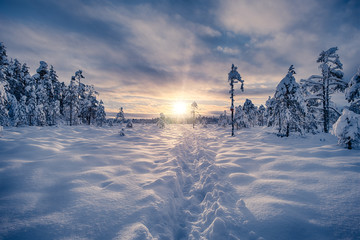 Trail on a snow leading towards sunset. Winter landscape scene.