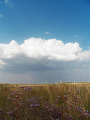 Landscape with windmills on the background of the sky and the field. Wind turbines farm. sandy beach. wind power. ecology