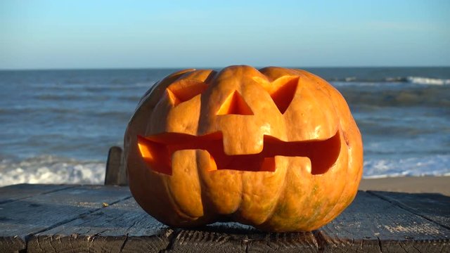 Spooky halloween pumpkin. Shooting against the background of the sea.