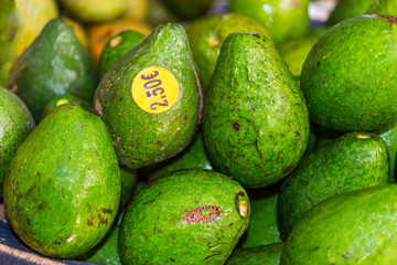 Avocados on sale (with price) in the fruit and vegetable market at Fort-de-France, Martinique, France