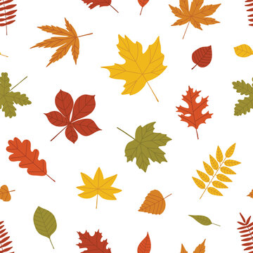 Natural seamless pattern with autumn fallen leaves of forest trees on white background