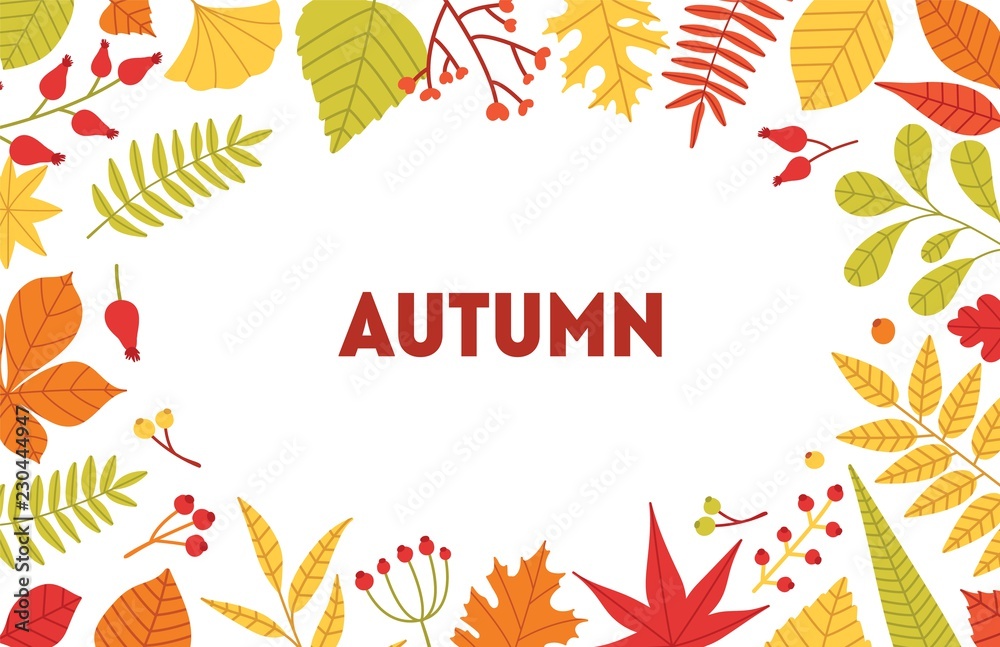 Poster Autumn horizontal background with frame made of fallen tree leaves and berries on white background