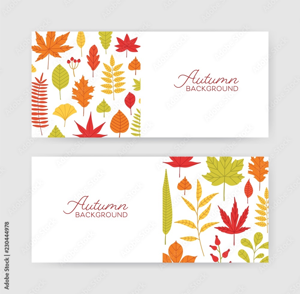 Aufkleber collection of autumn horizontal banner templates with fallen tree leaves on white background. elegan