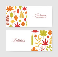Collection of autumn horizontal banner templates with fallen tree leaves on white background. Elegant seasonal natural backdrops. Flat colorful vector illustration for advertisement, promo.