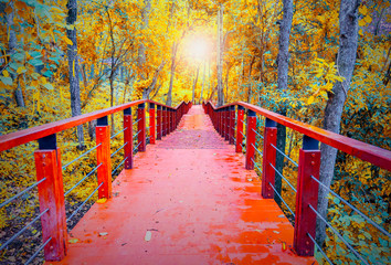Wooden bridge as the corridor in the park