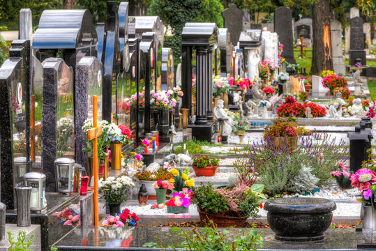 Eine Gräberreihe auf dem Zentralfriedhof in Wien