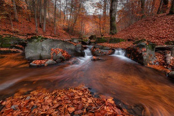 Great Autumn Forest Landscape In Orange Color With Beautiful Creek And Misty Forest. Enchanted Autumn Beech Forest With Red Falling Leaves On The Ground And Cold Blurred Water. Wall Poster Idea