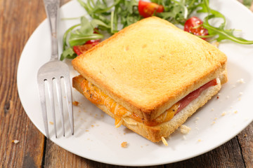 toasted bread with ham and cheese