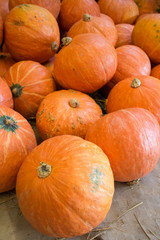 Pumpkin used for Halloween.