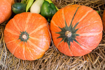 pumpkins and gourds