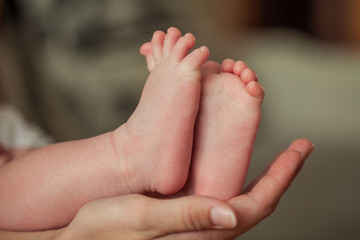 Fototapeta premium Close-up. Beautiful young mother holds the baby in her arms. Mom holds the baby's legs in her hands for 3 months. Love. Motherhood. Happiness. House. Cozy.