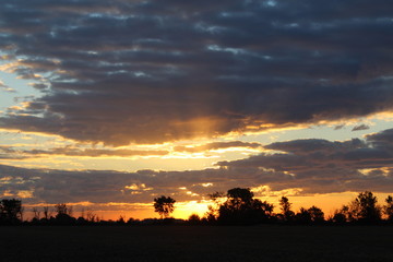 dawning Morning STAR!!!