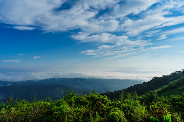 Blue sky and cloud with meadow tree. Plain landscape background for summer poster of thailand.