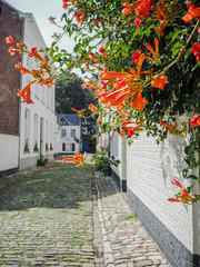 Fototapeta na wymiar The 13th century beguinage in the city center of LIer, Belgium. A Unesco world heritage site.