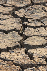 dry cracked earth