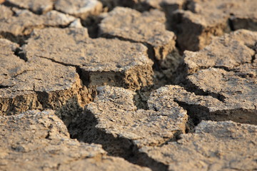dry cracked earth