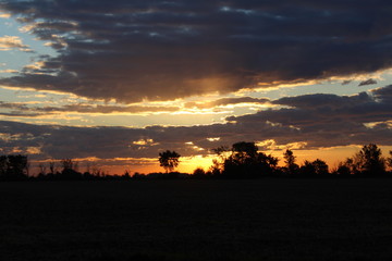 dawning Morning STAR!!!