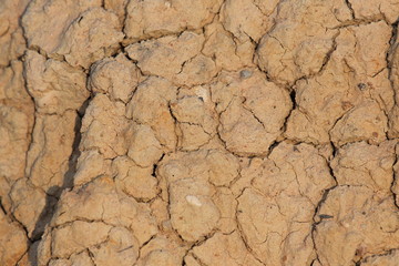 dry cracked earth
