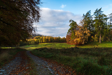 Autumnal Perthshire