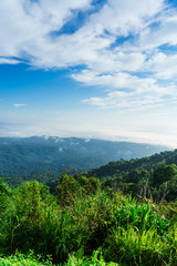 Blue sky and cloud with meadow tree. Plain landscape background for summer poster of thailand.