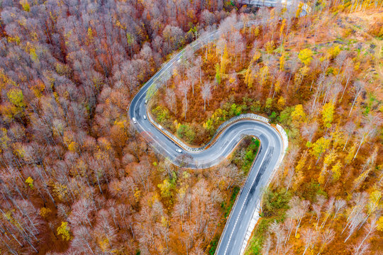 Cars on a extreme winding road trough the forest